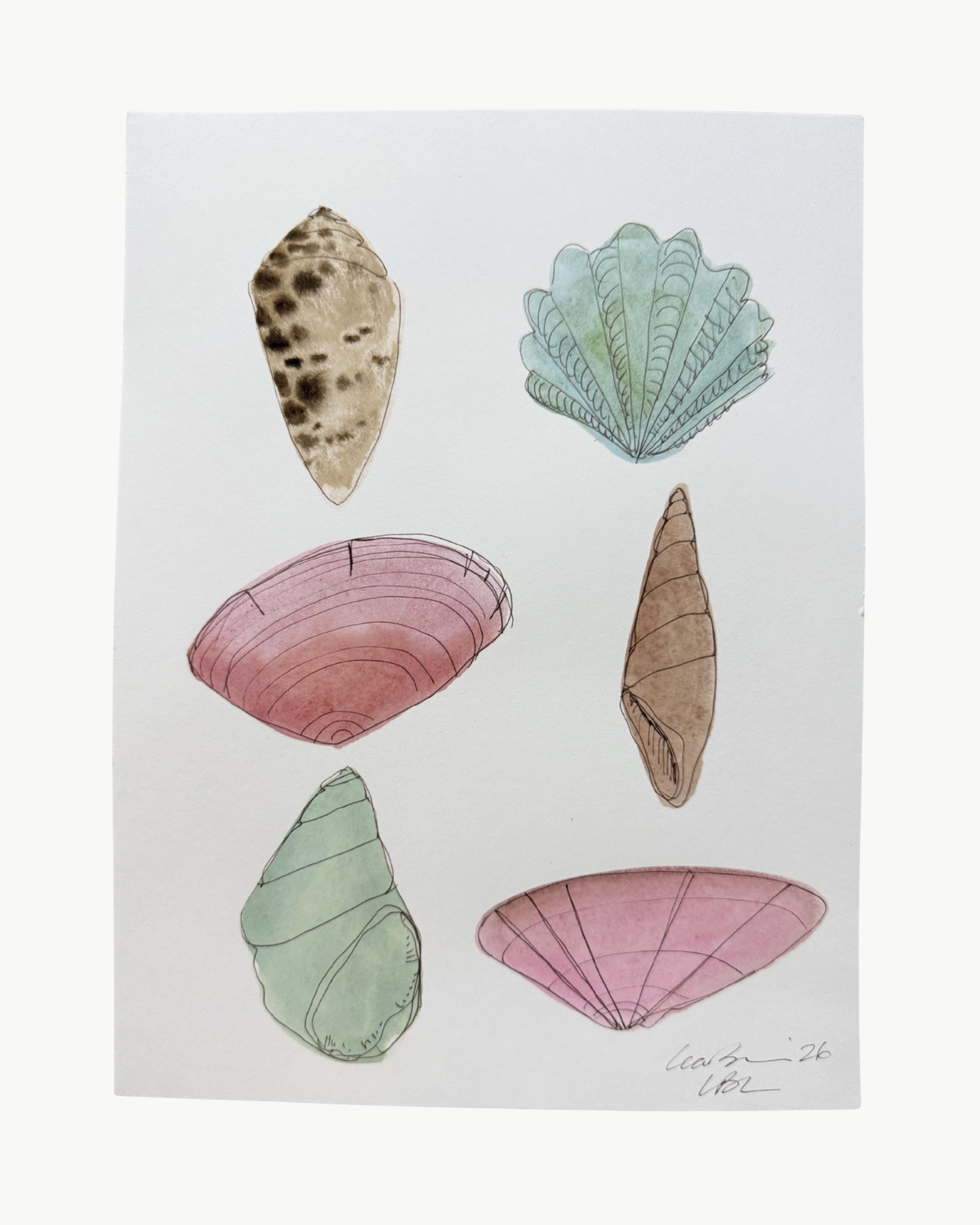 Pastel Shell Collection IV