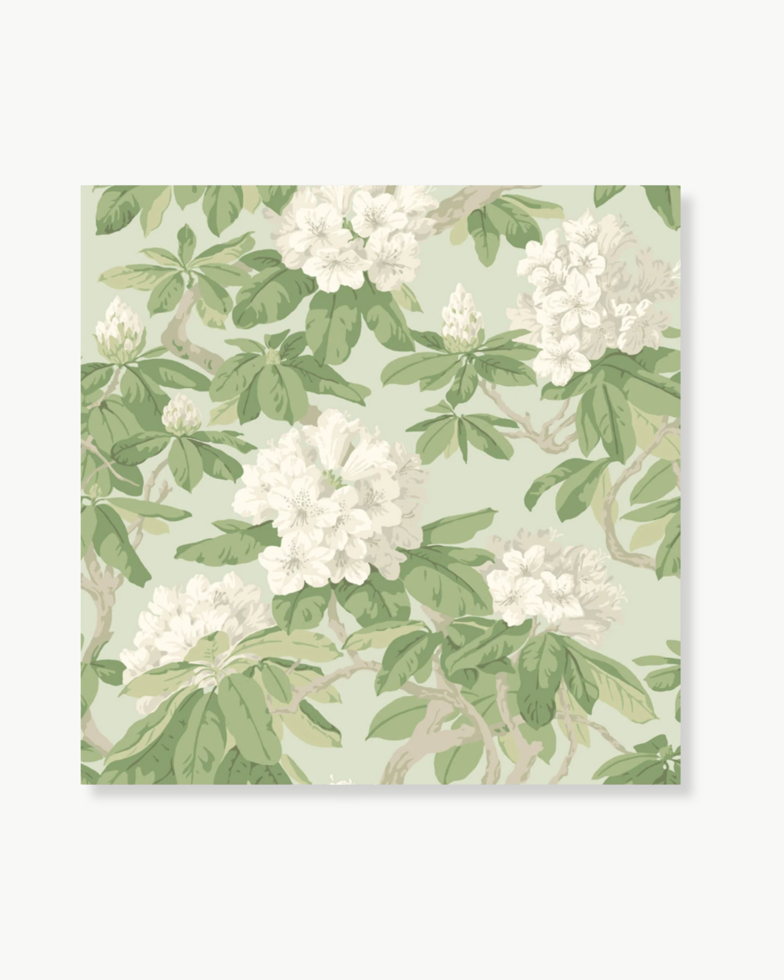 Bourlie Duck Egg Wallpaper