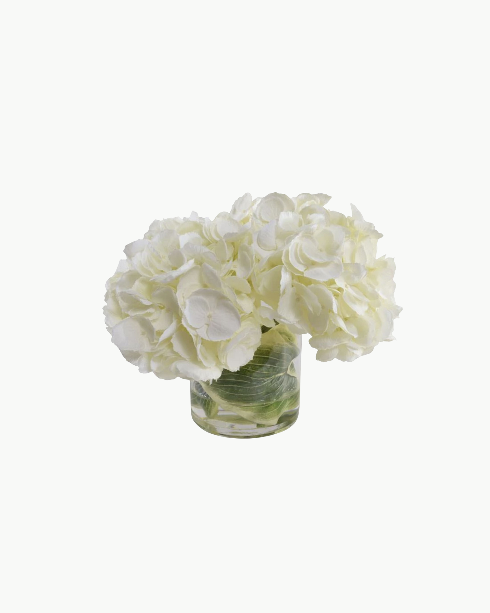 Cream Hydrangea Arrangement in Glass