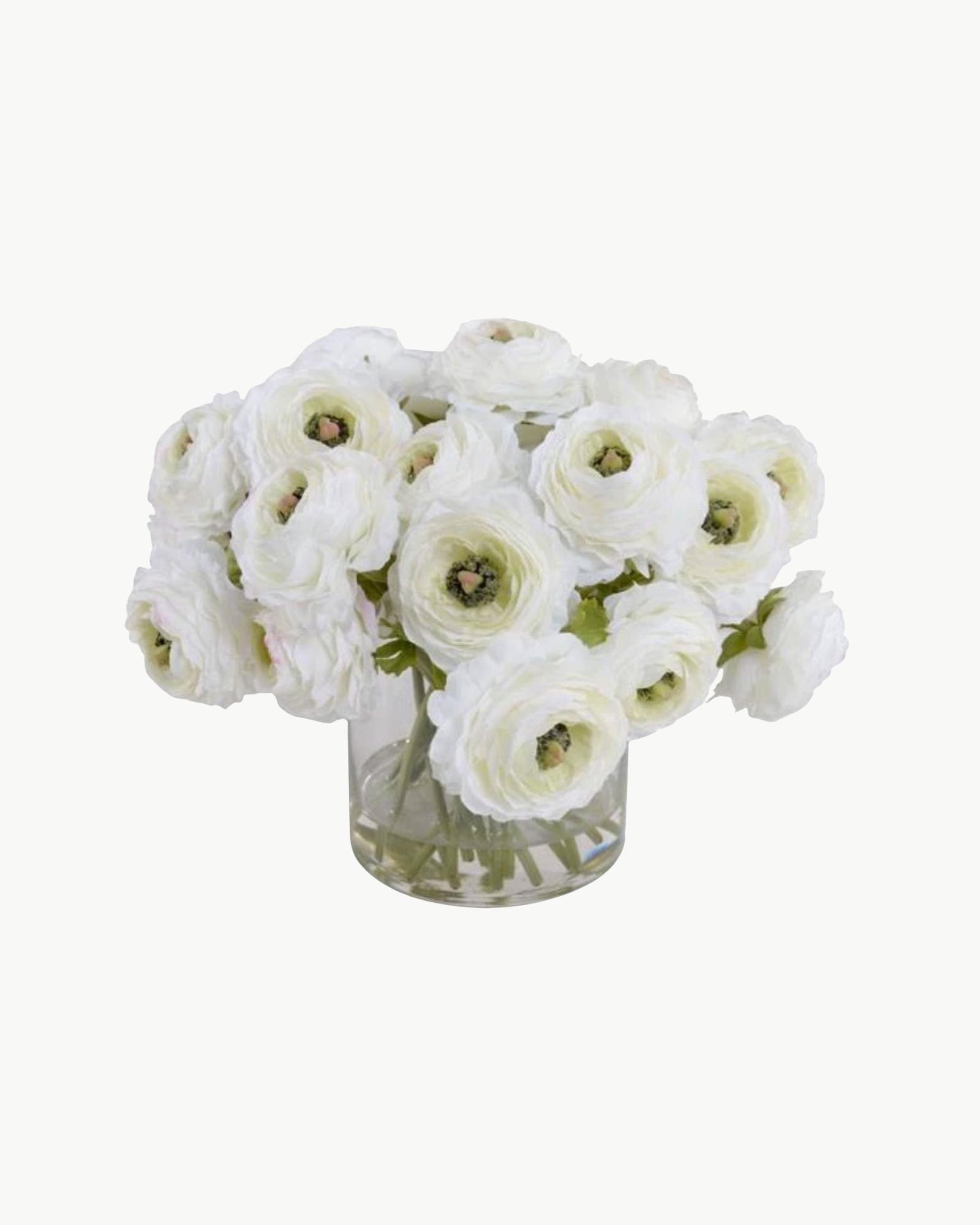 Cream Ranunculus Bouquet in Glass Vase