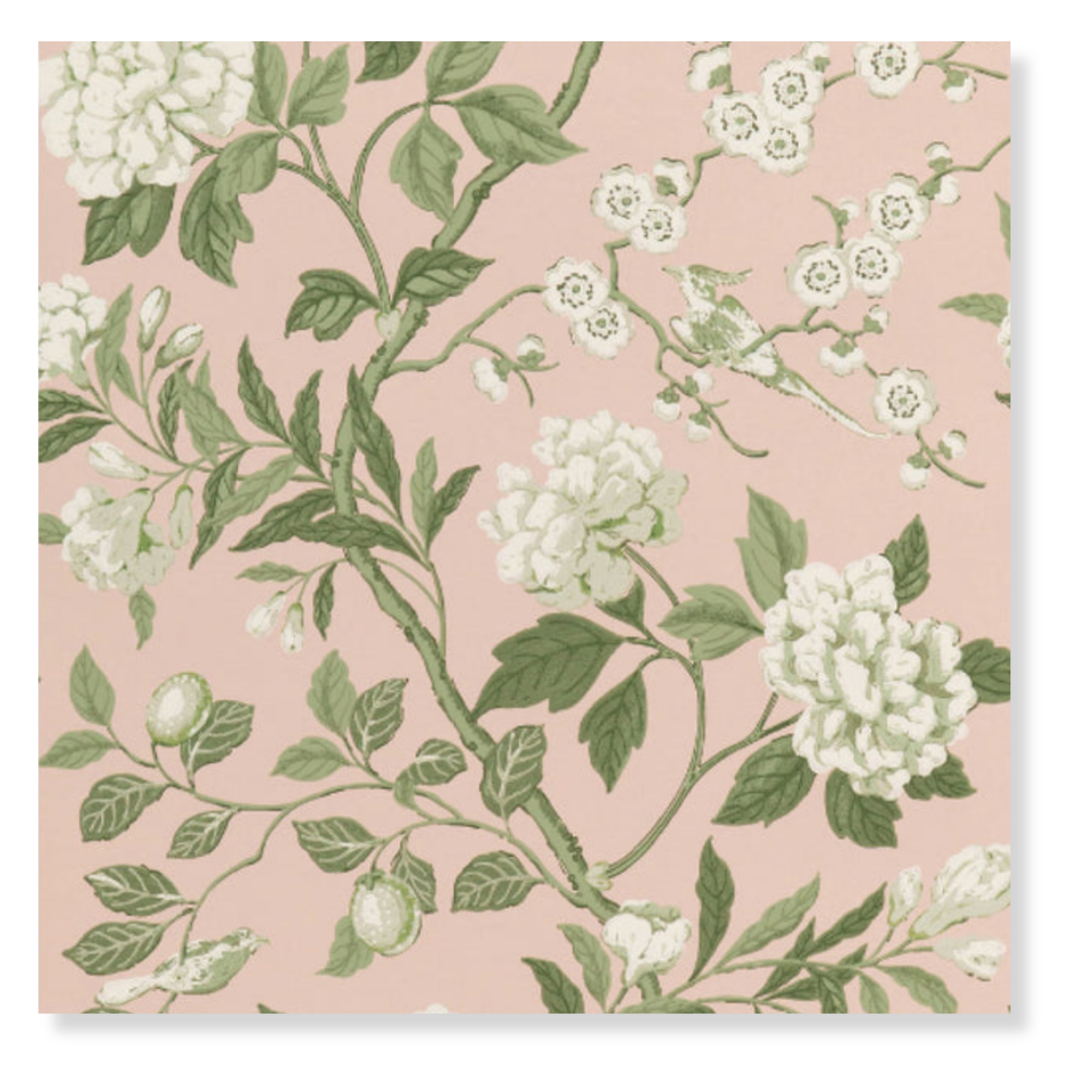 Emperor's Garden in Blush Wallpaper