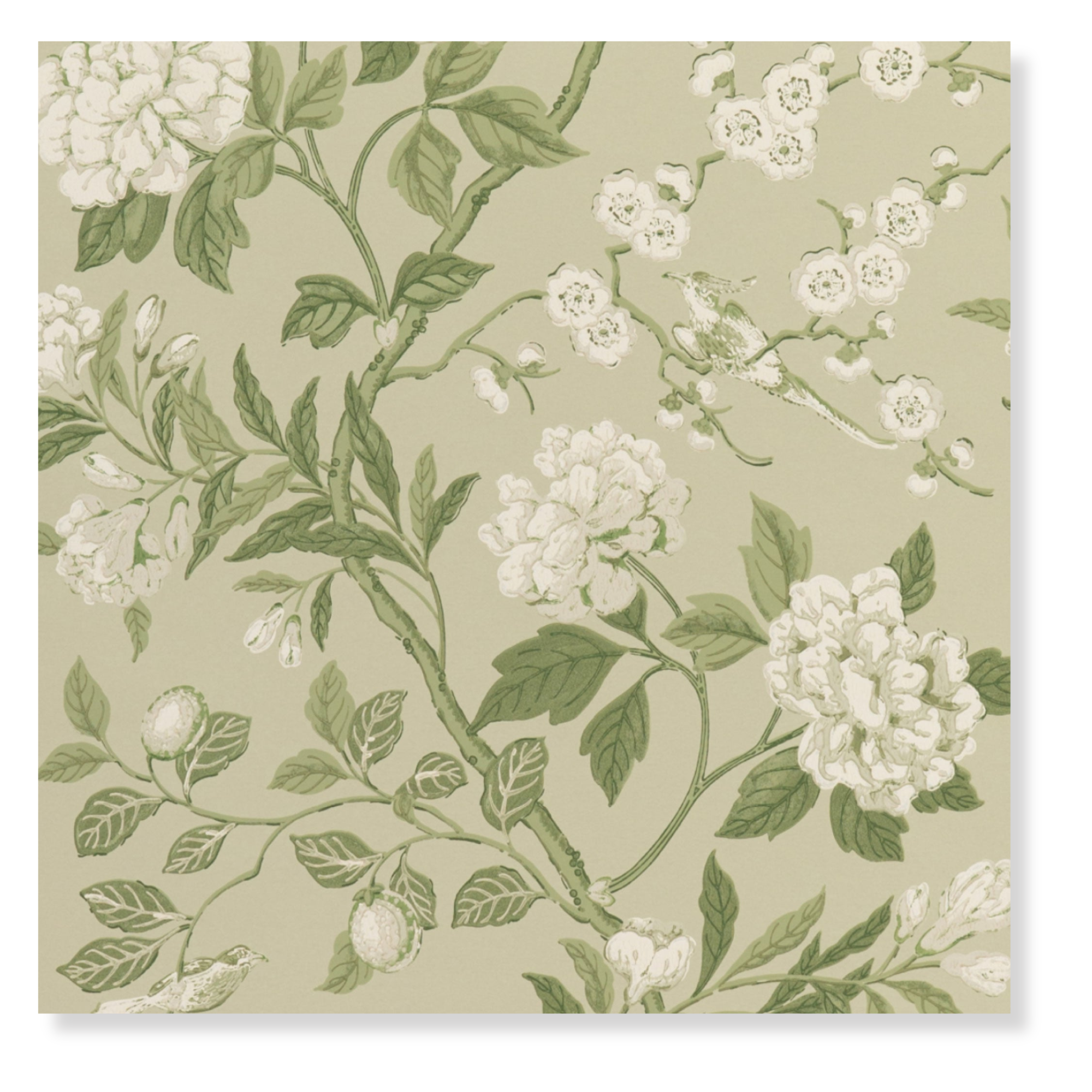 Emperor's Garden in Soft Green Wallpaper