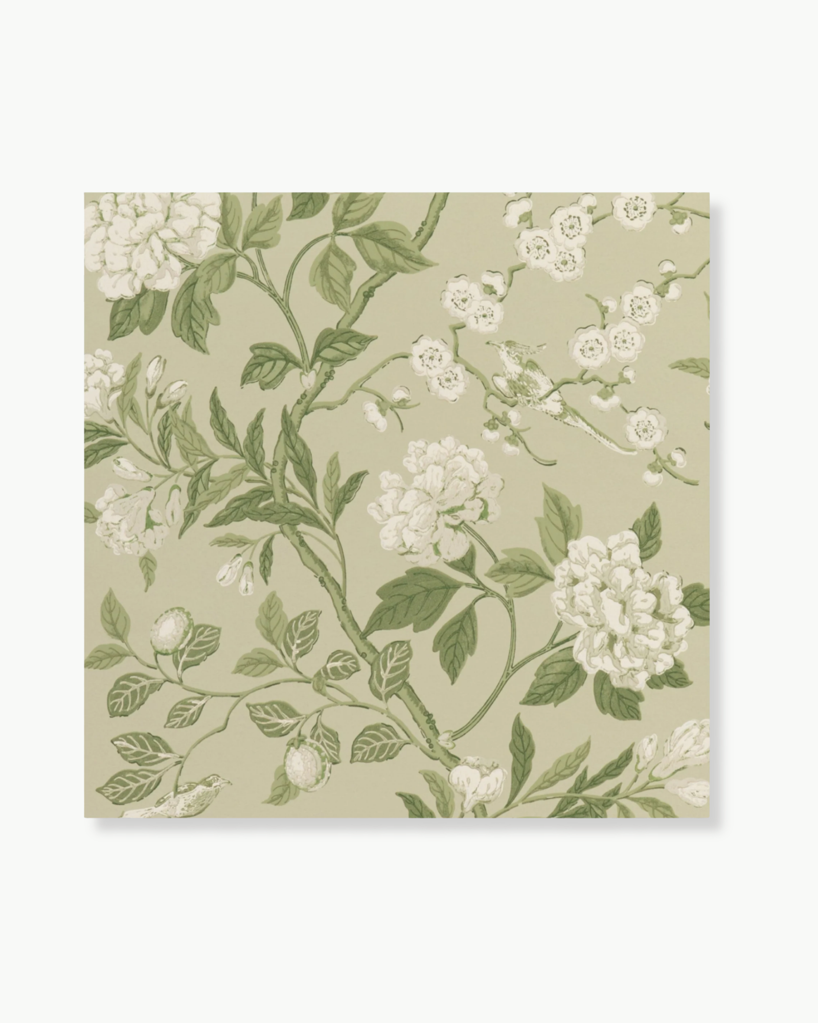Emperor's Garden in Soft Green Wallpaper
