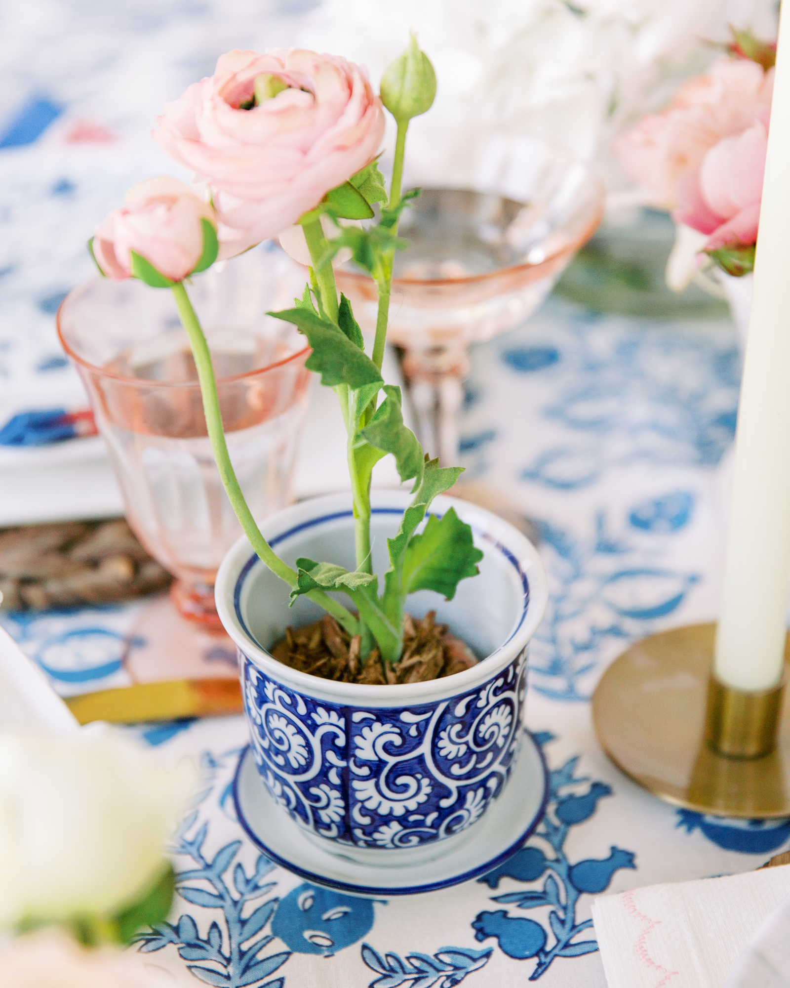 Pink Ranunculus in Terracotta Vase