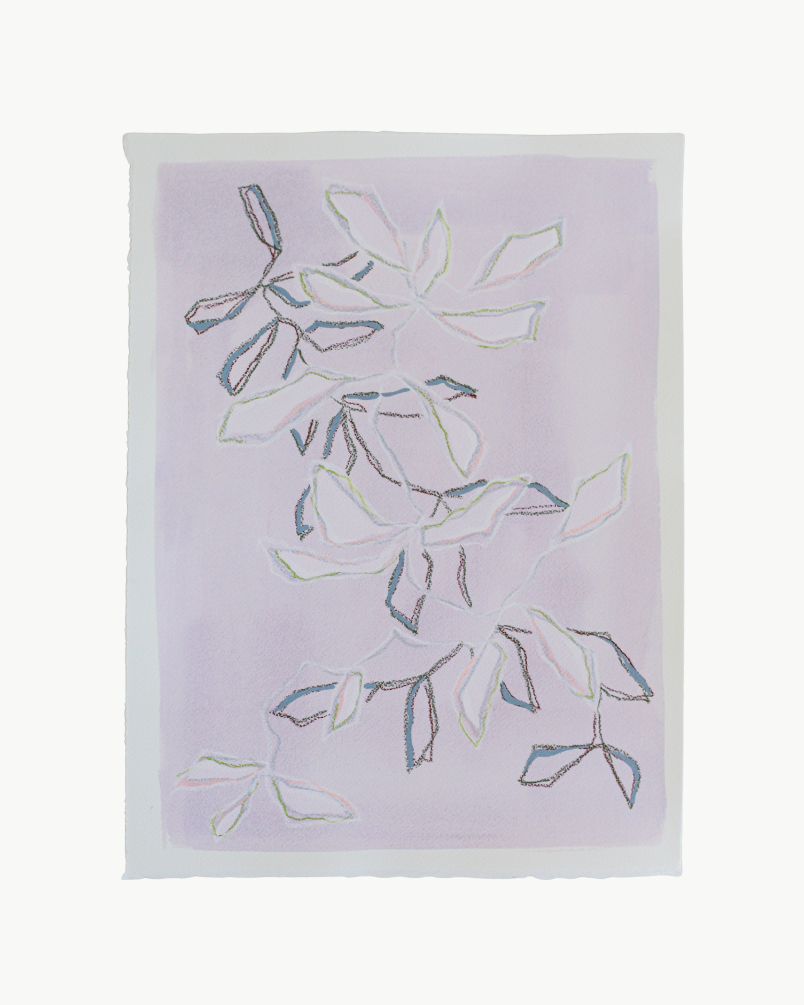 Lavender Branch