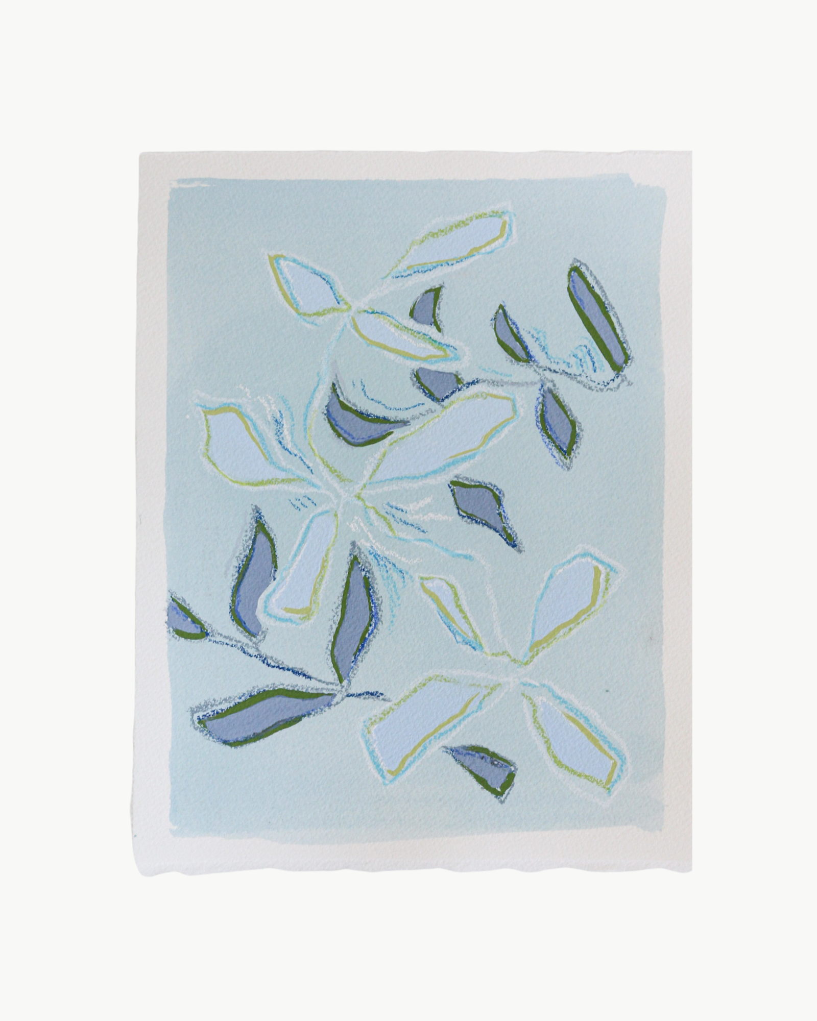 Little Blue Branch