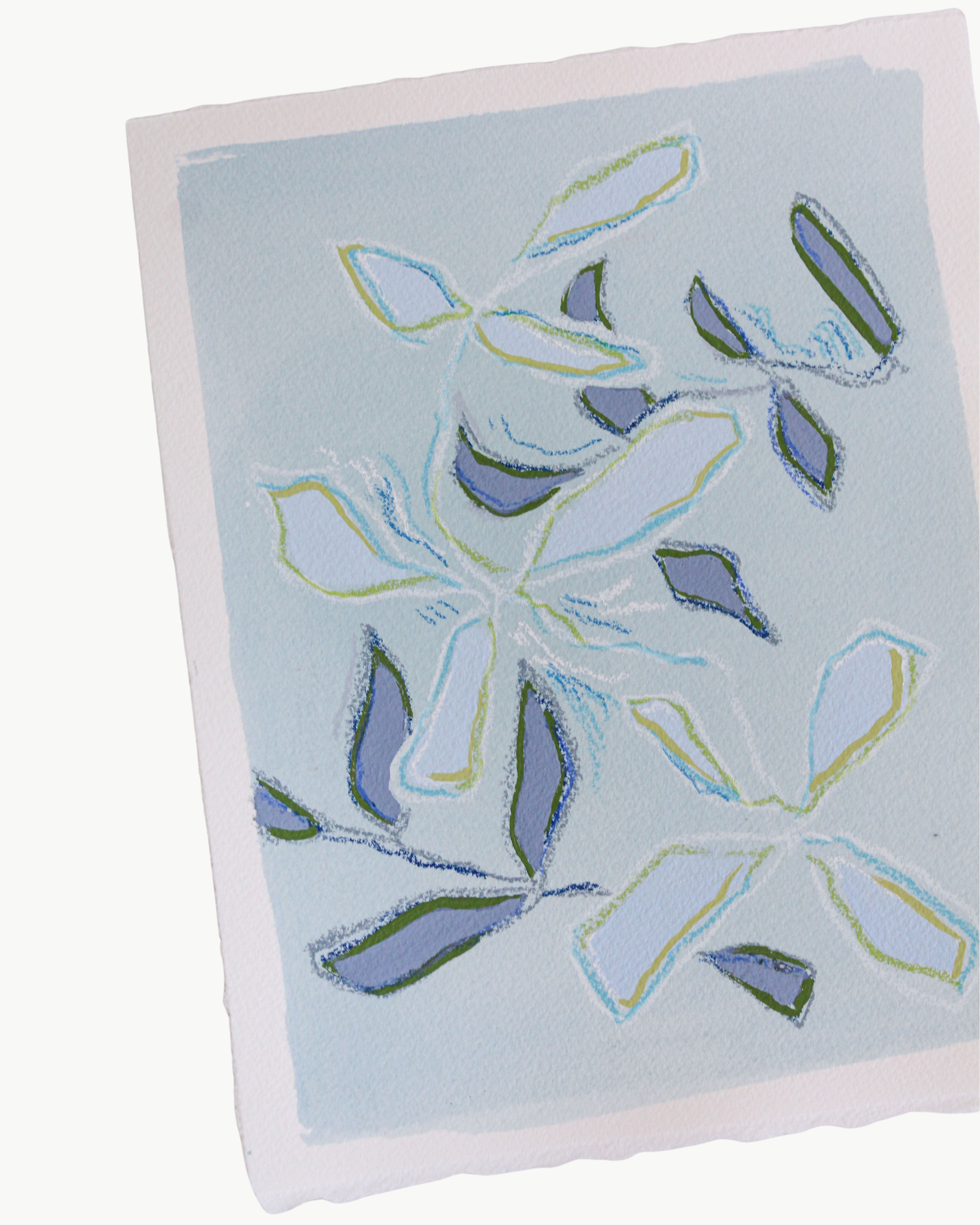 Little Blue Branch