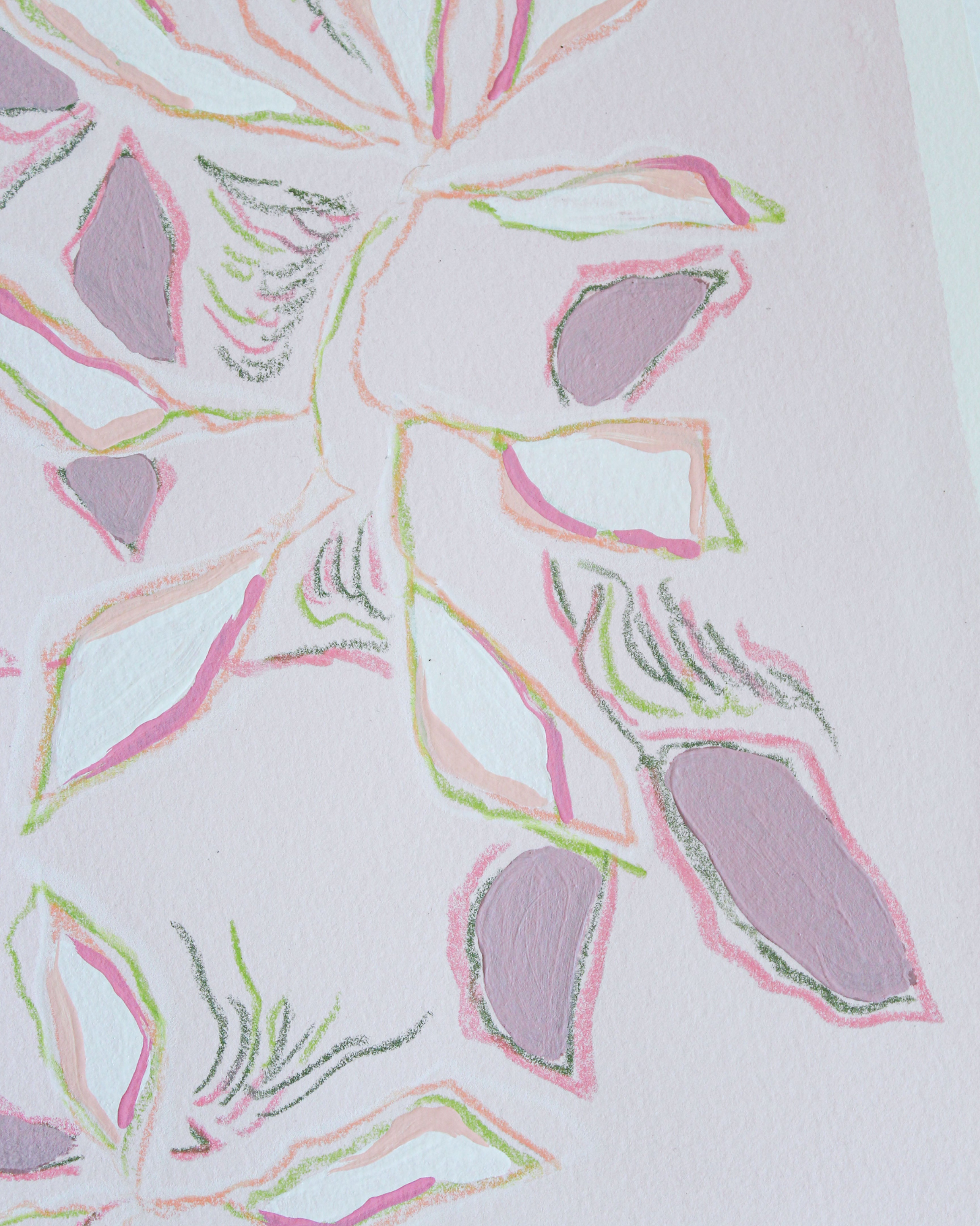 Little Pink Branch