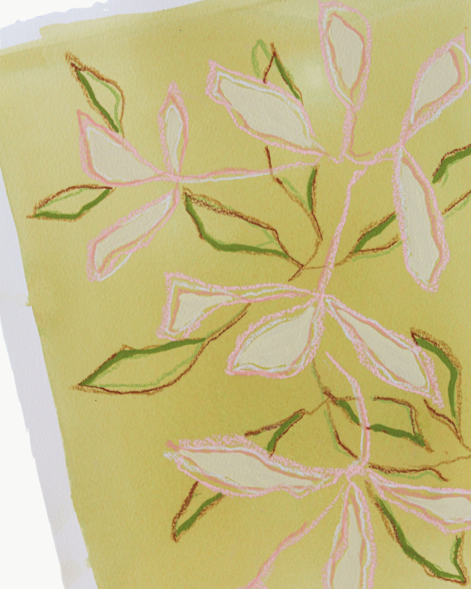 Marigold Branch