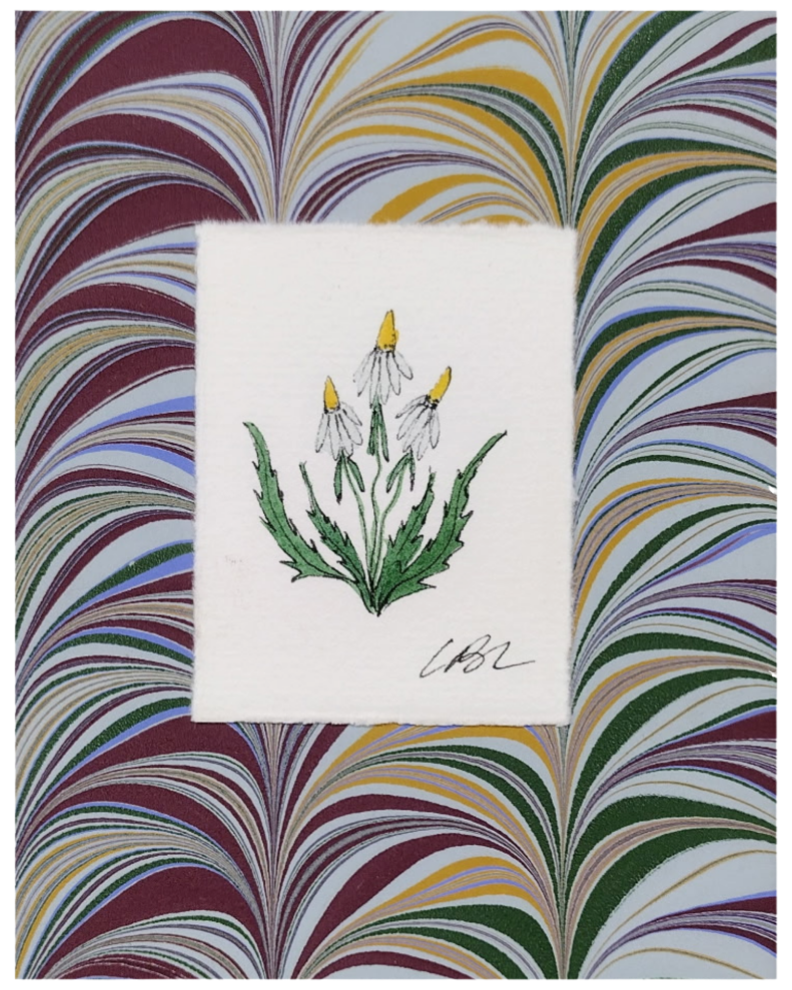 Mini Daisies on Plum Marble