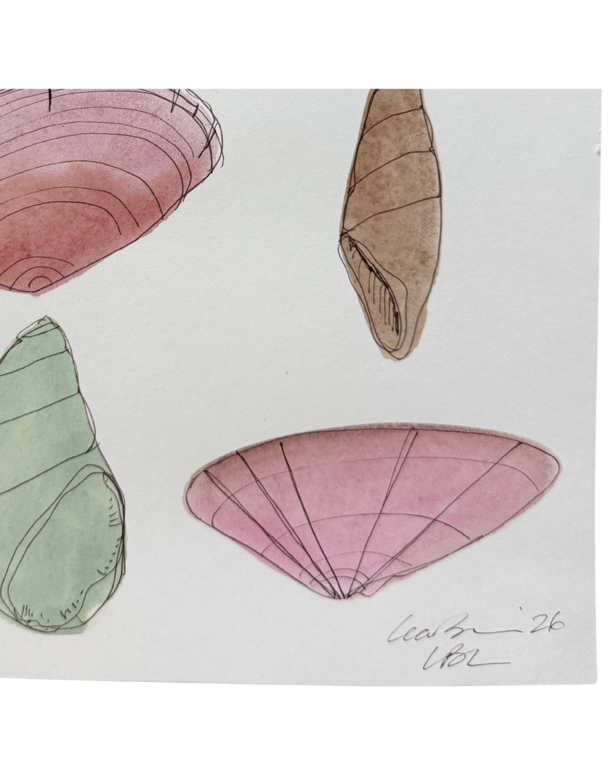 Pastel Shell Collection IV
