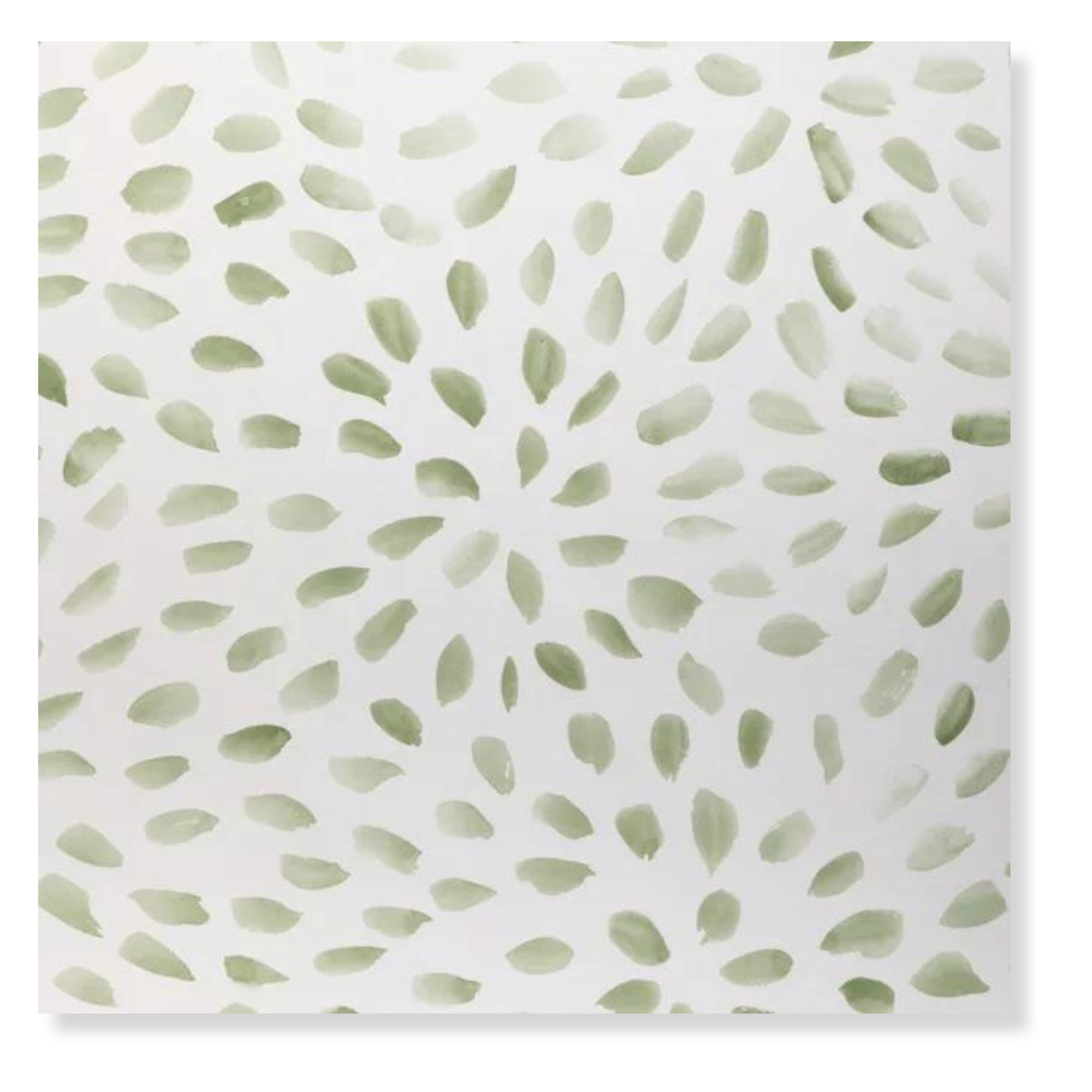 Petal Blossoms in Sage Wallpaper