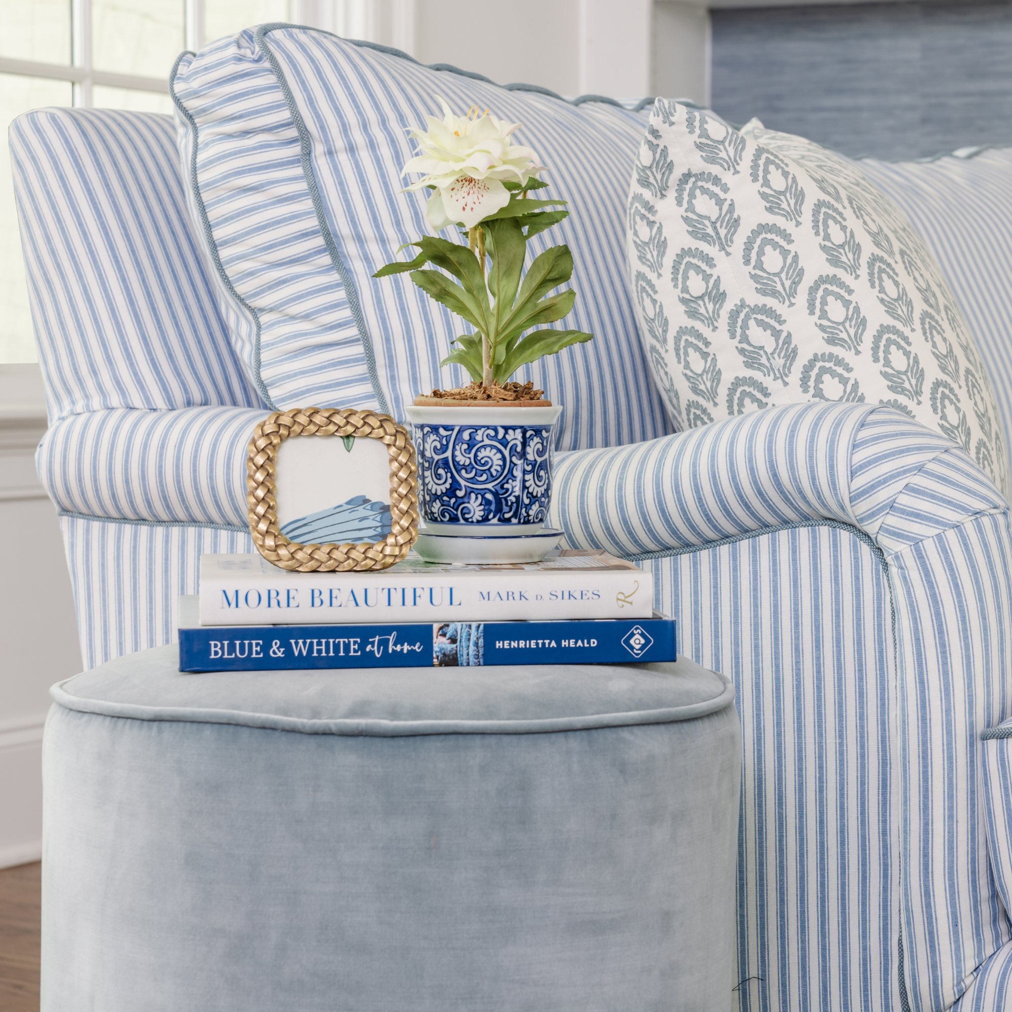 Cream Rose Lenten Hellebore in Terracotta