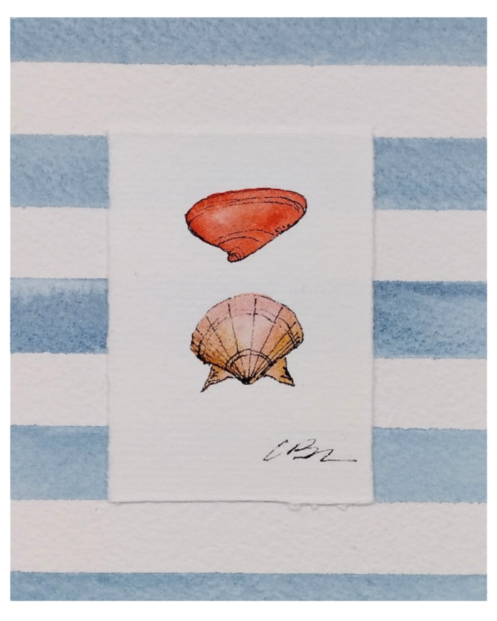 Mini Shell Pair on Sky Blue Stripes I