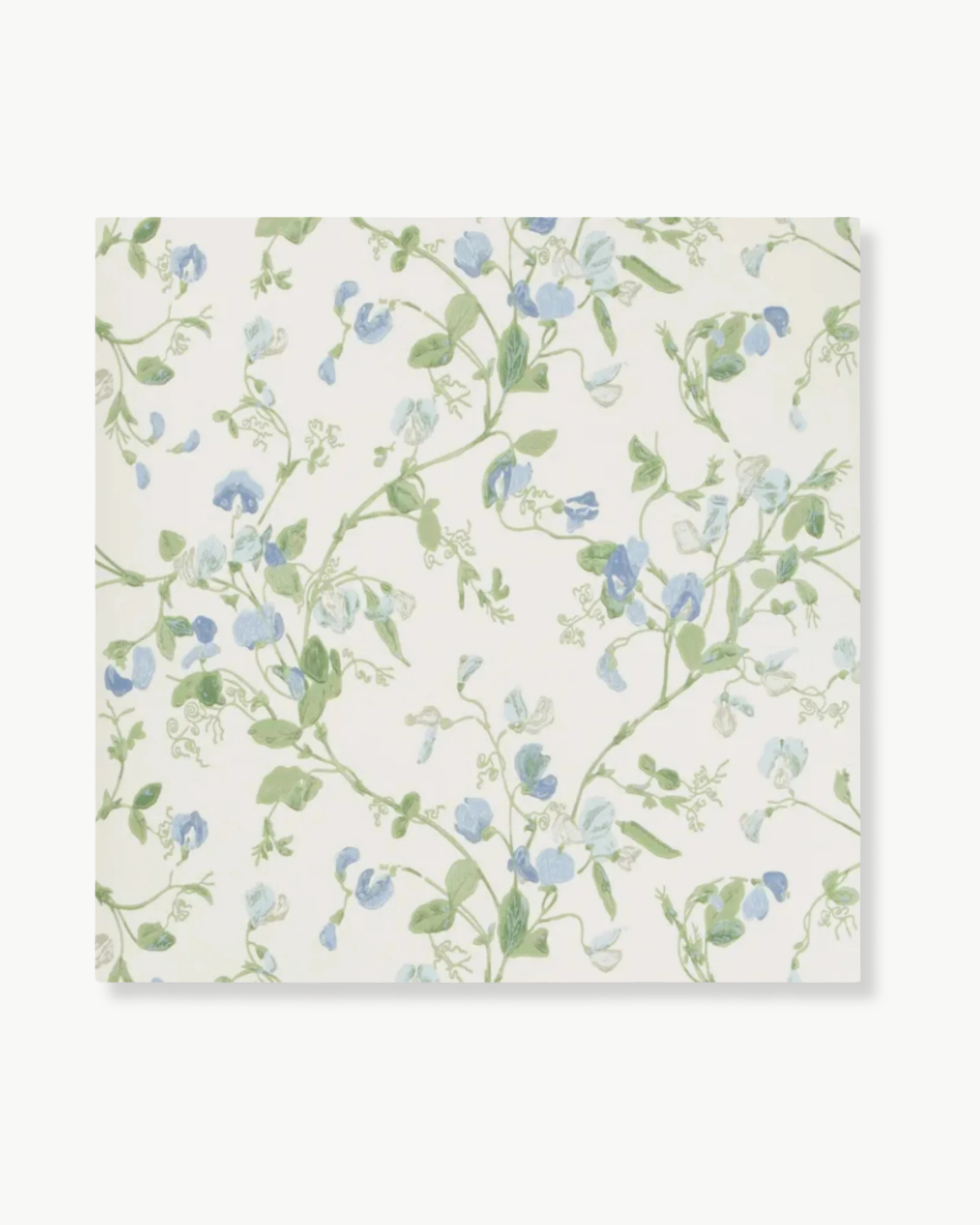 Sweet Pea in Blue Wallpaper Sample