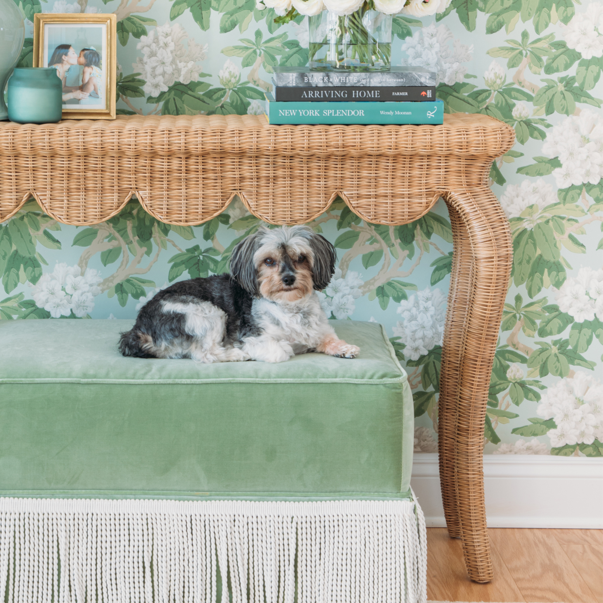 Tally Leaf Velvet - Fabric by the Yard