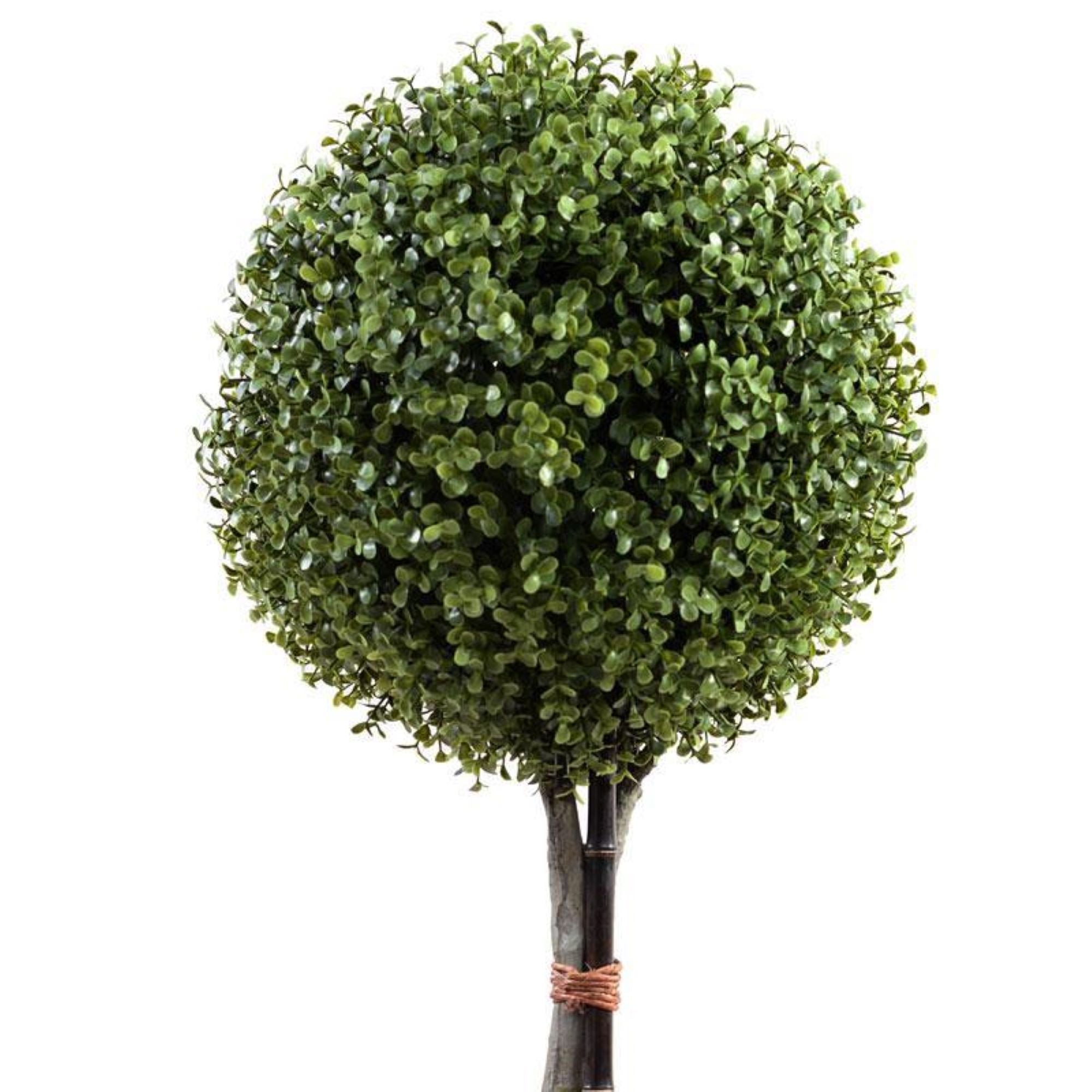 Single Boxwood Ball Topiary