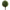 Single Boxwood Ball Topiary