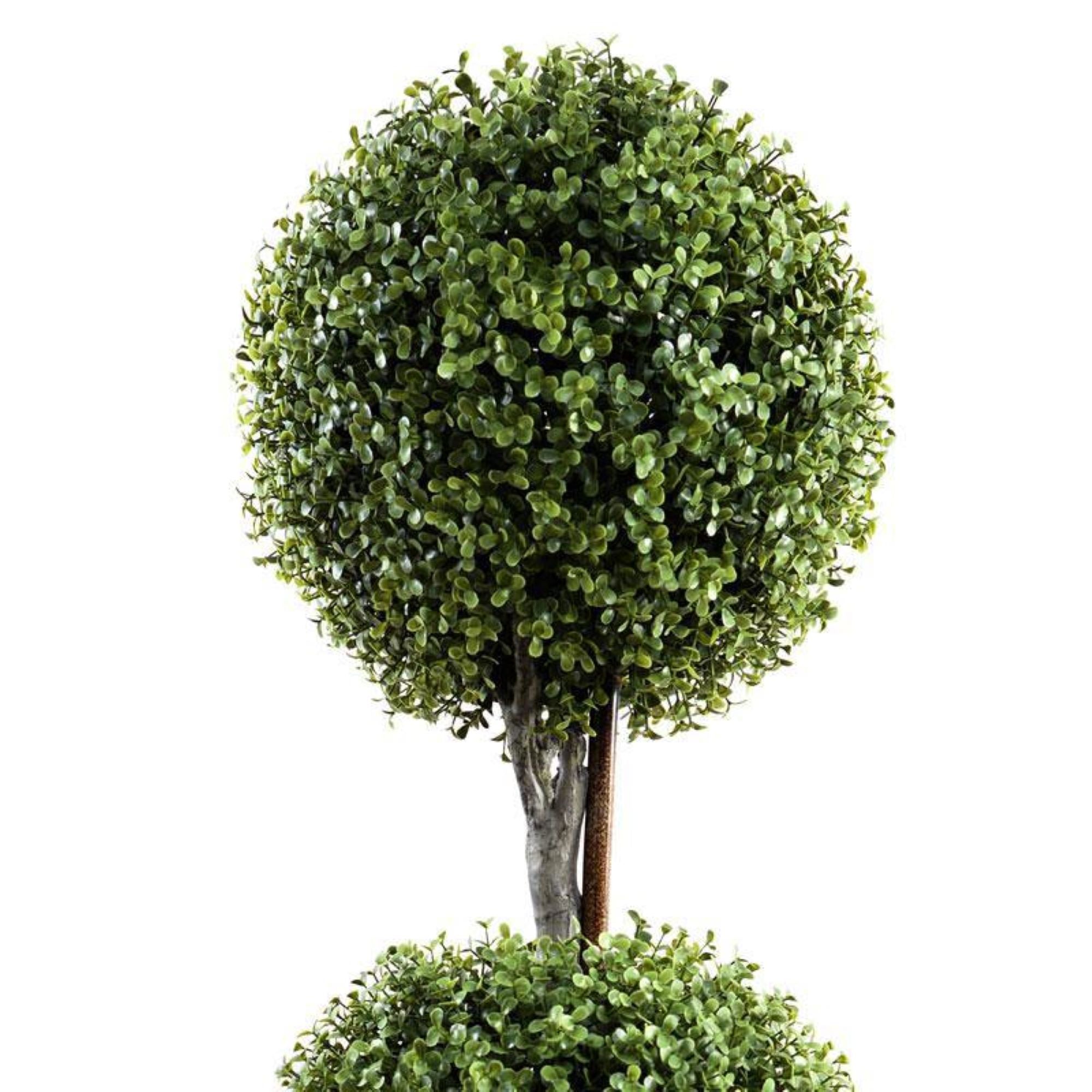 Double Boxwood Ball Topiary