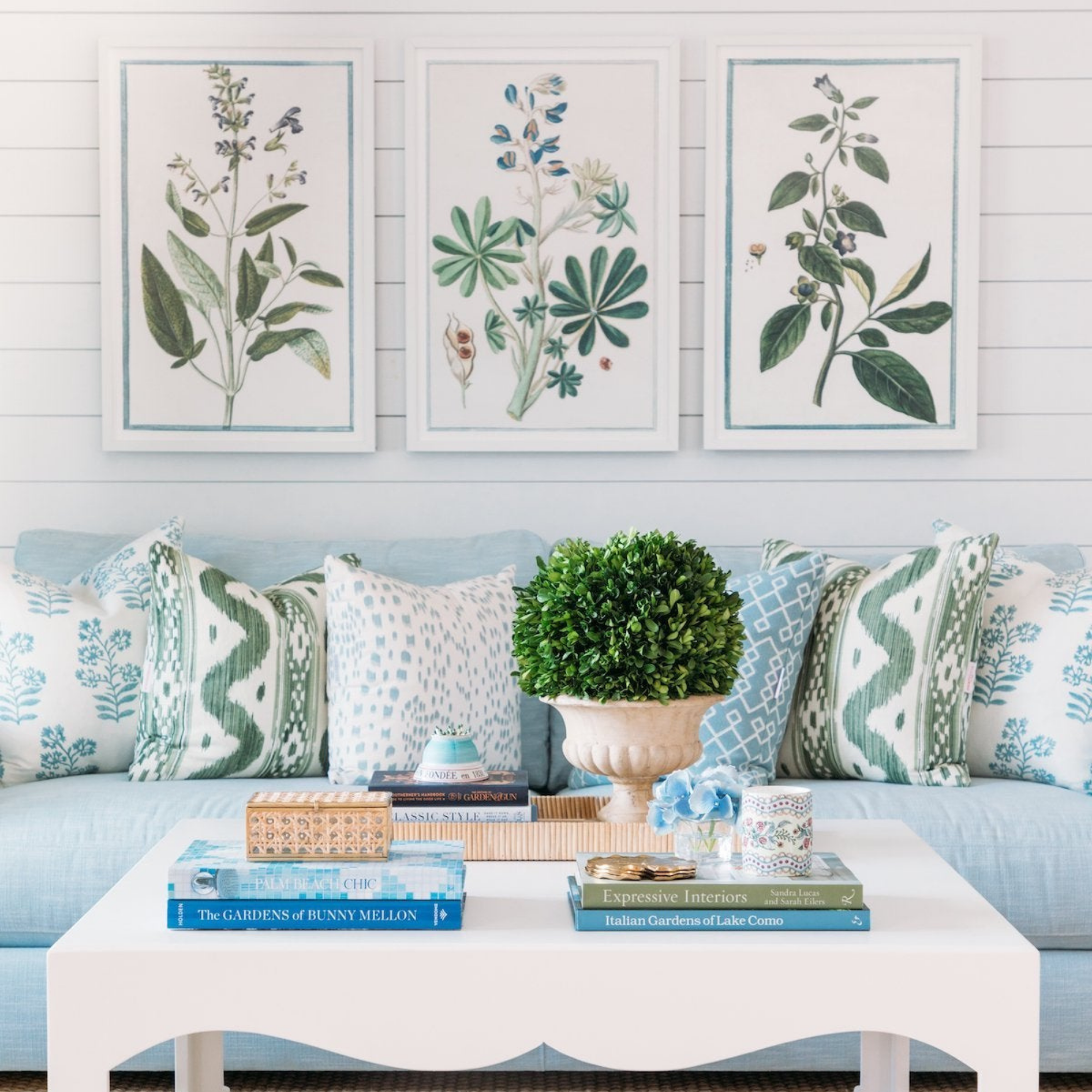 18th Century Italian Botanicals II in White Frame