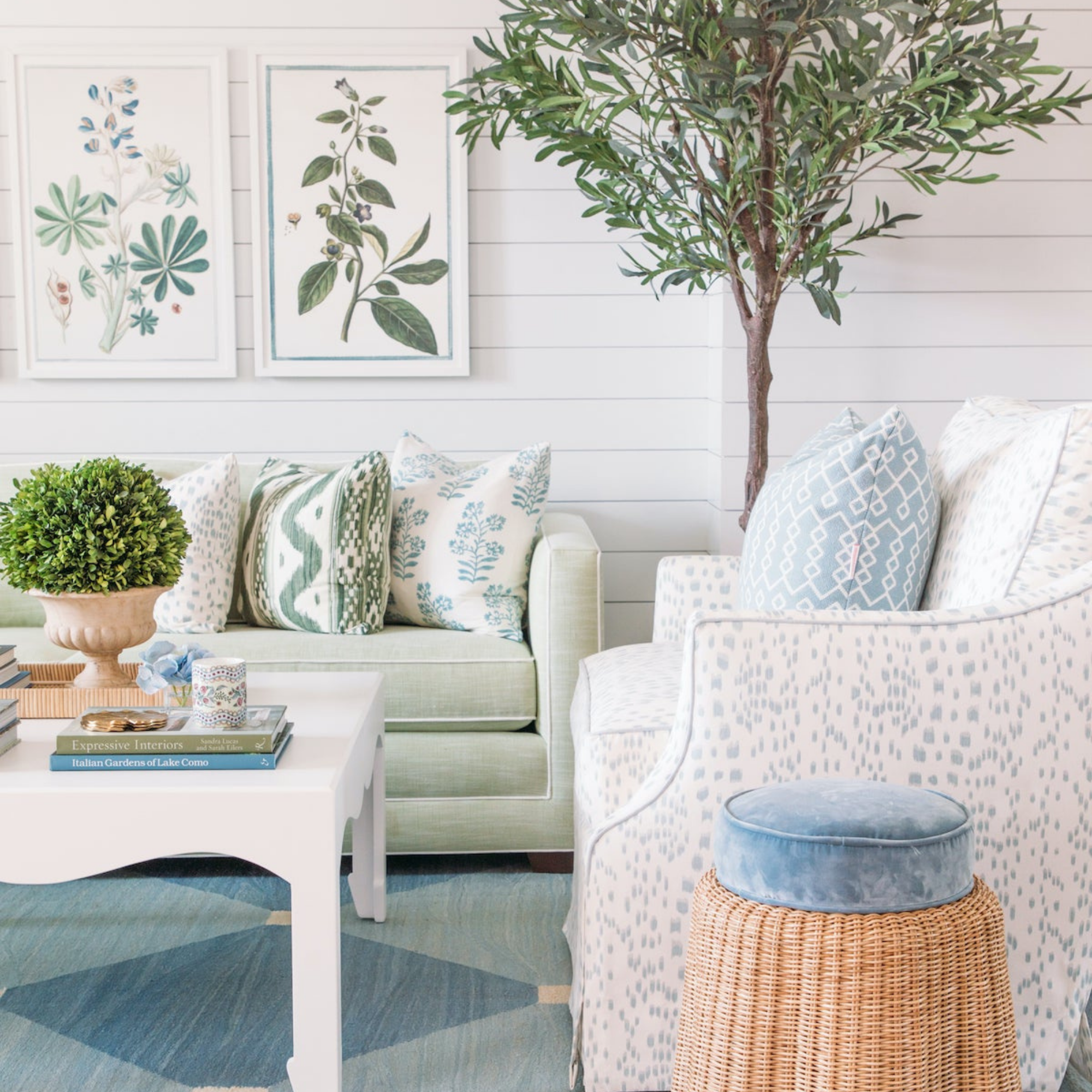 18th Century Italian Botanicals V in White Frame