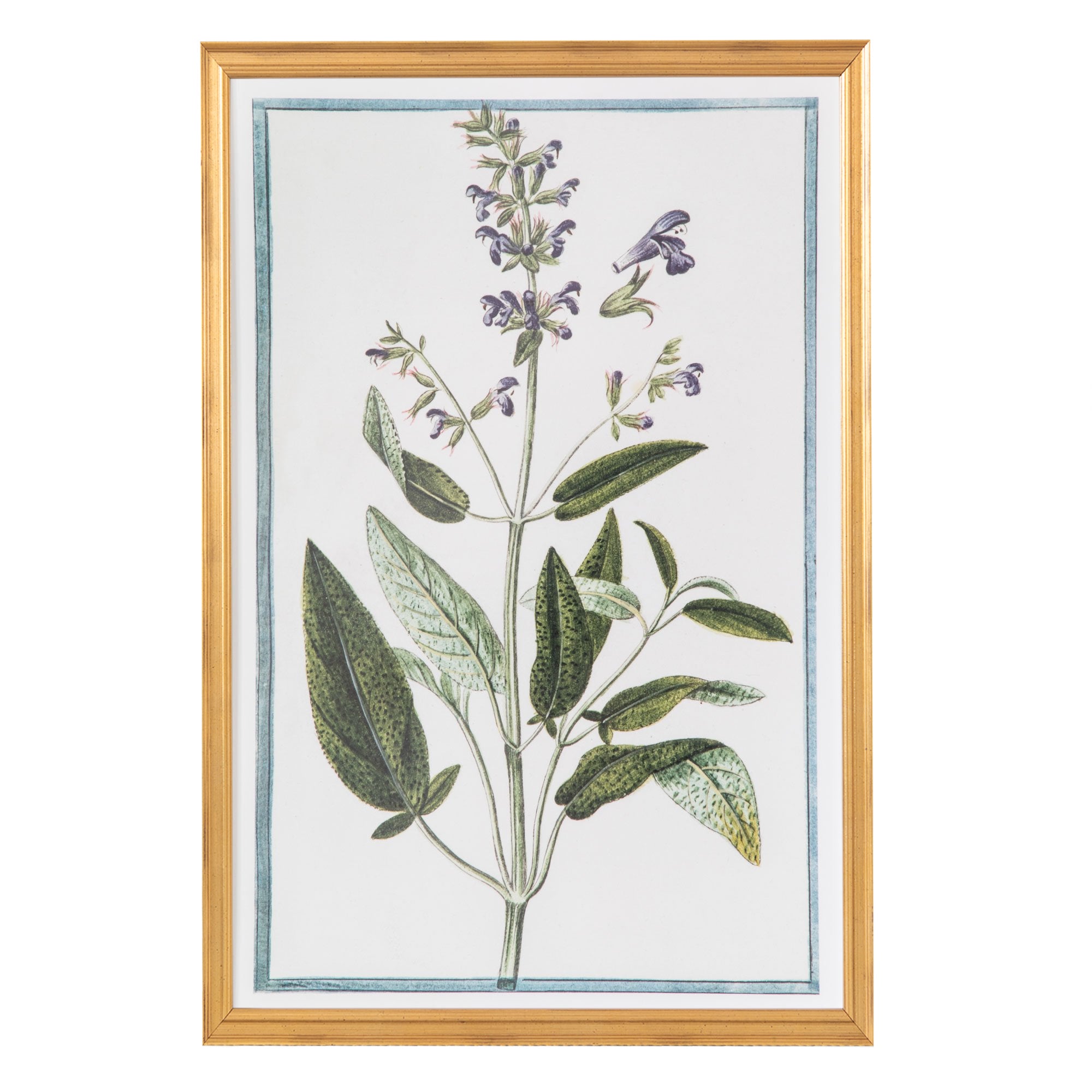 18th Century Italian Botanicals I in Gold Frame