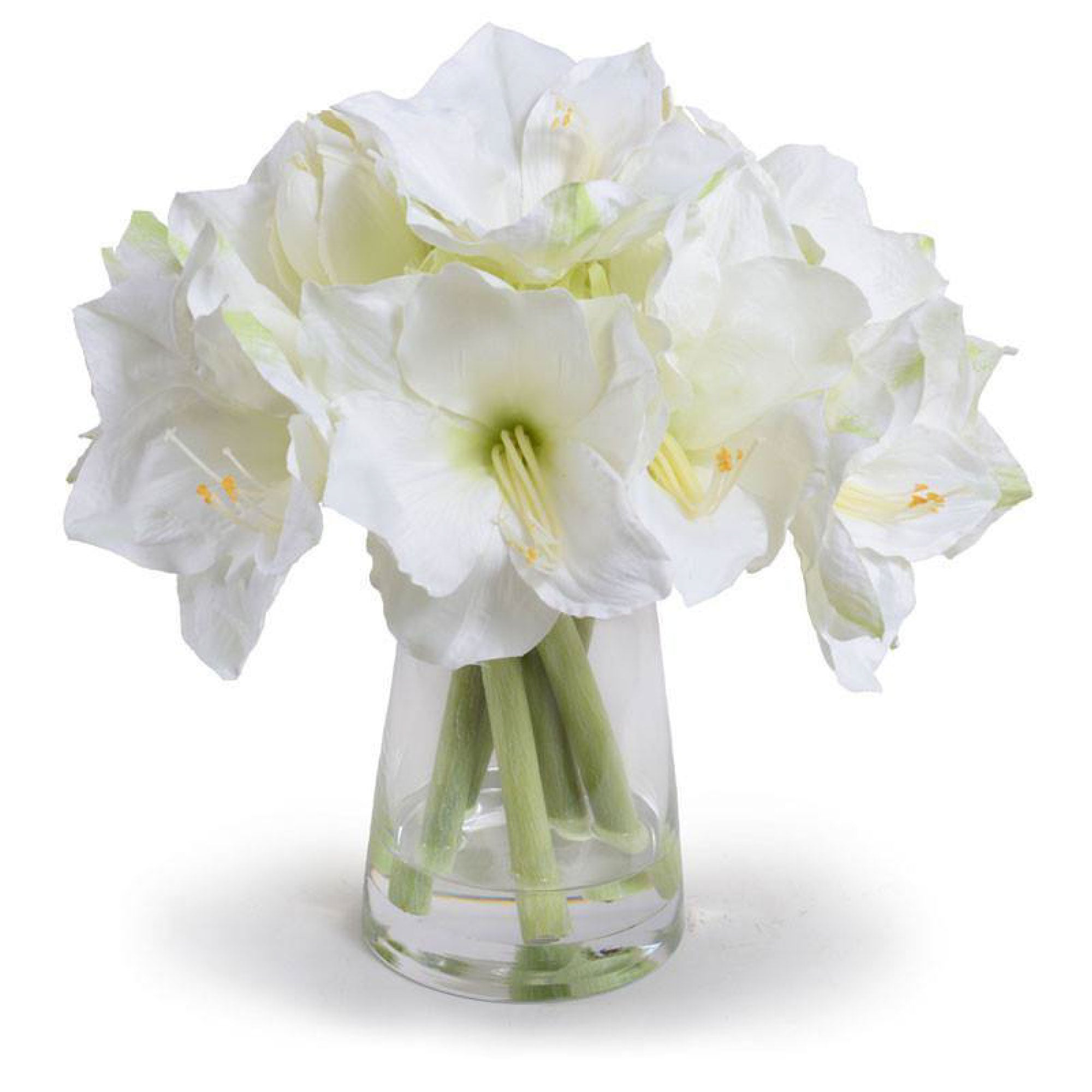 White Amaryllis Arrangement