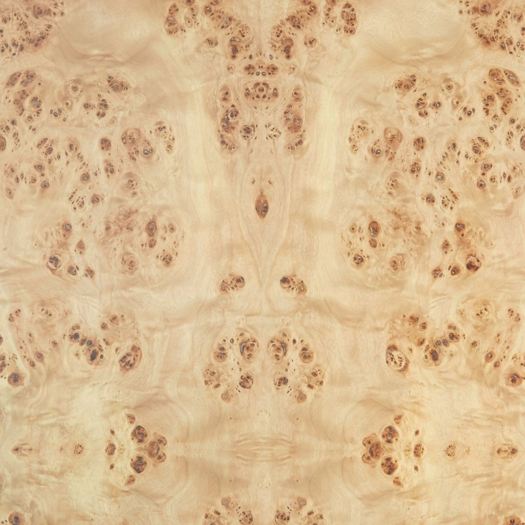 Burlwood Veneer Sample Request