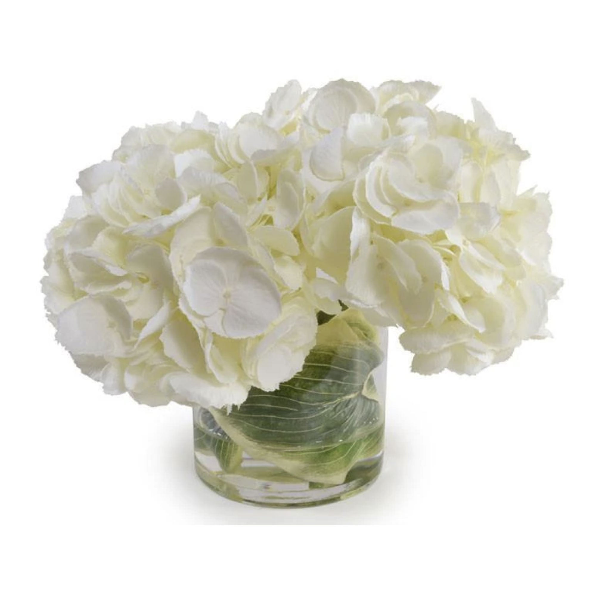 Cream Hydrangea Arrangement in Glass