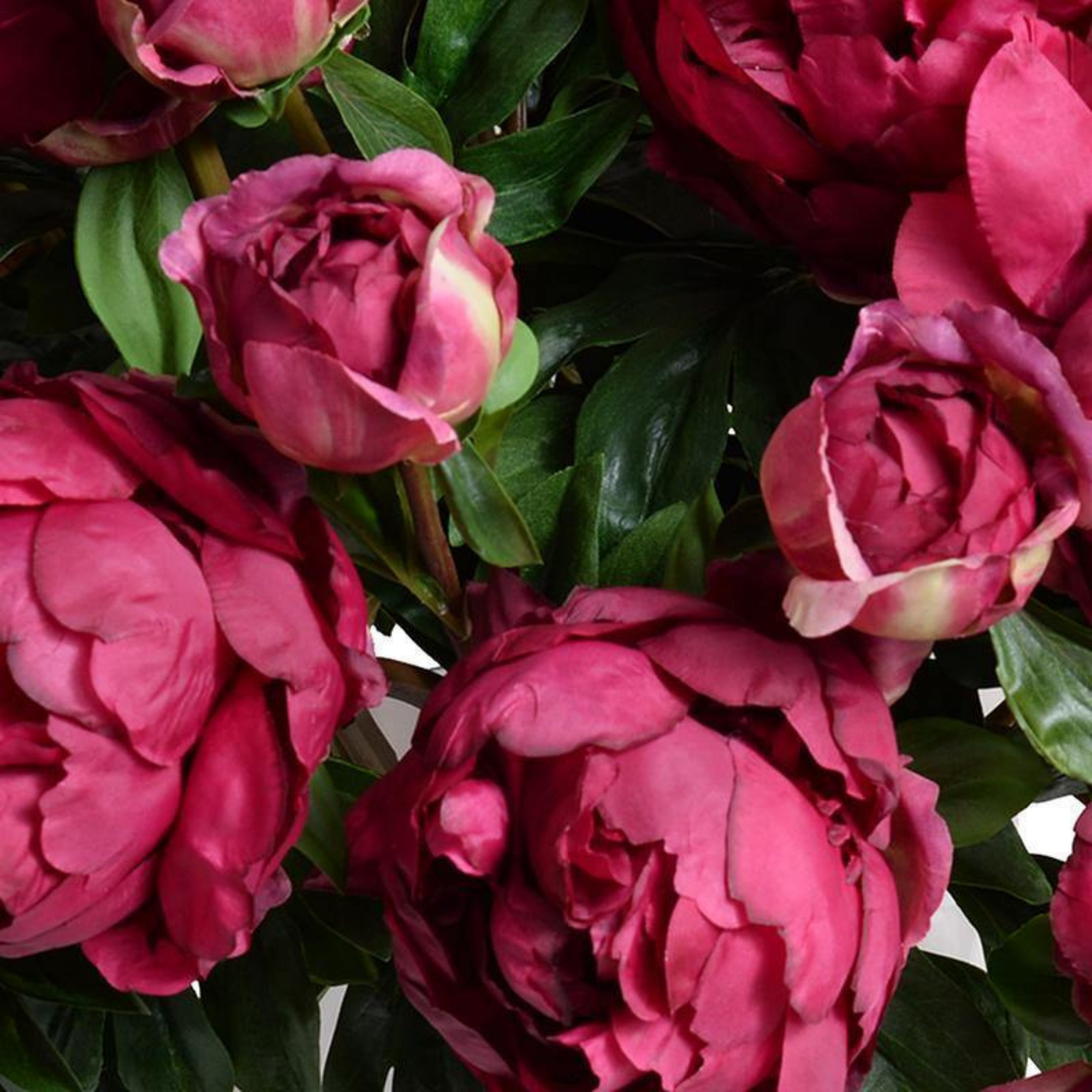 Large Fuchsia Peony Bouquet in Glass Vase