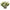 Green and White Hydrangea Bud Arrangement in Glass Vase
