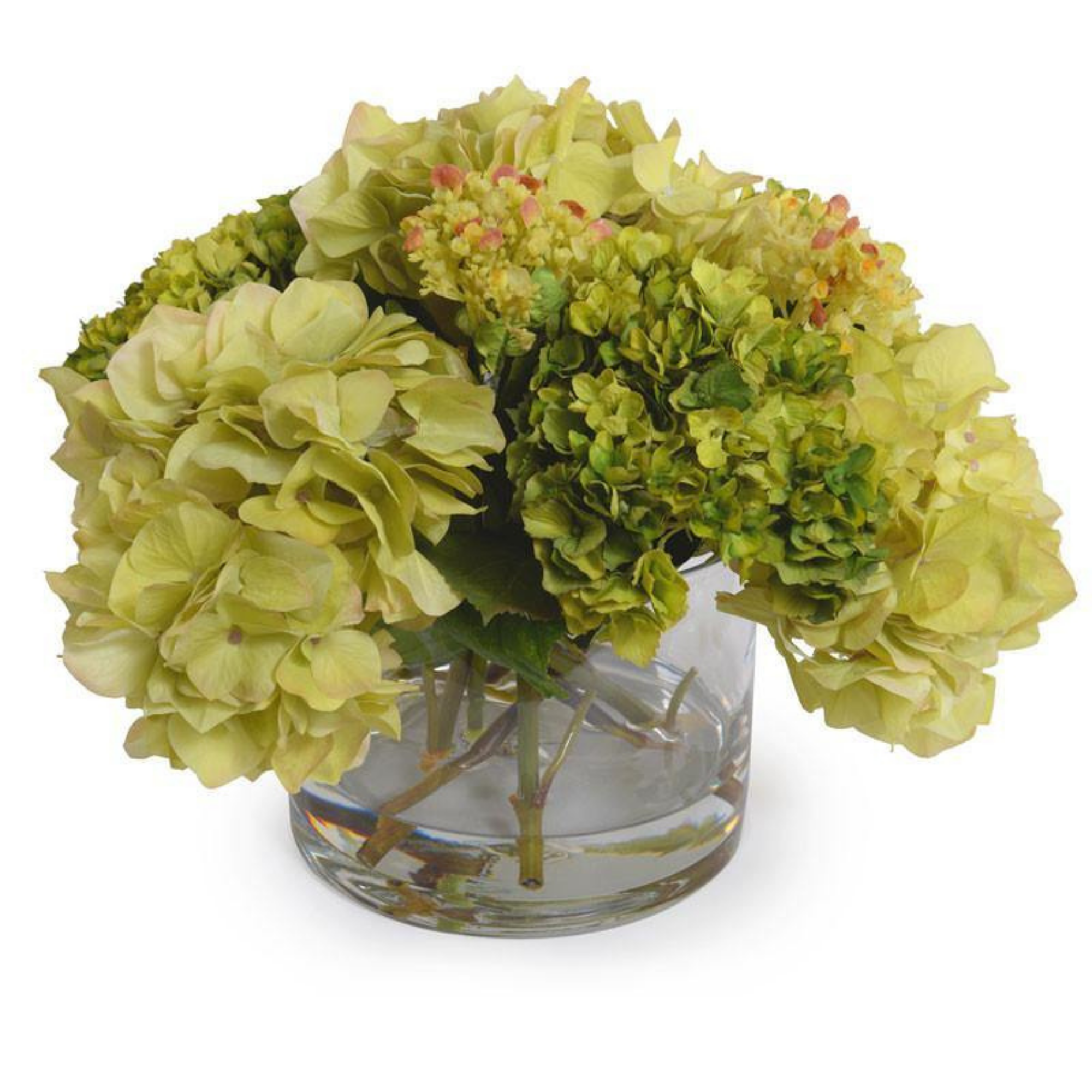 Light Green Hydrangea Bouquet in Glass Vase