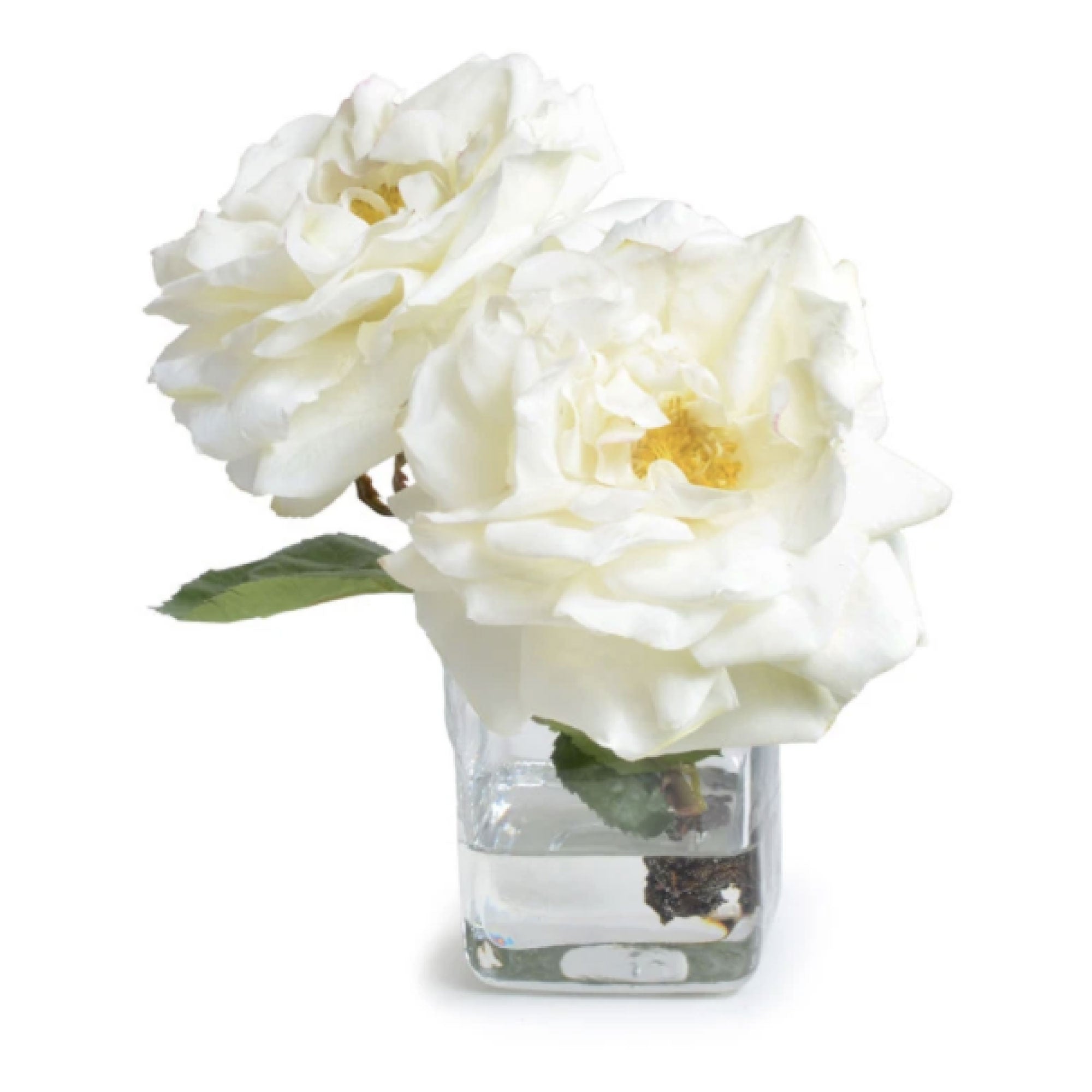 Cream Rose Cutting in Glass