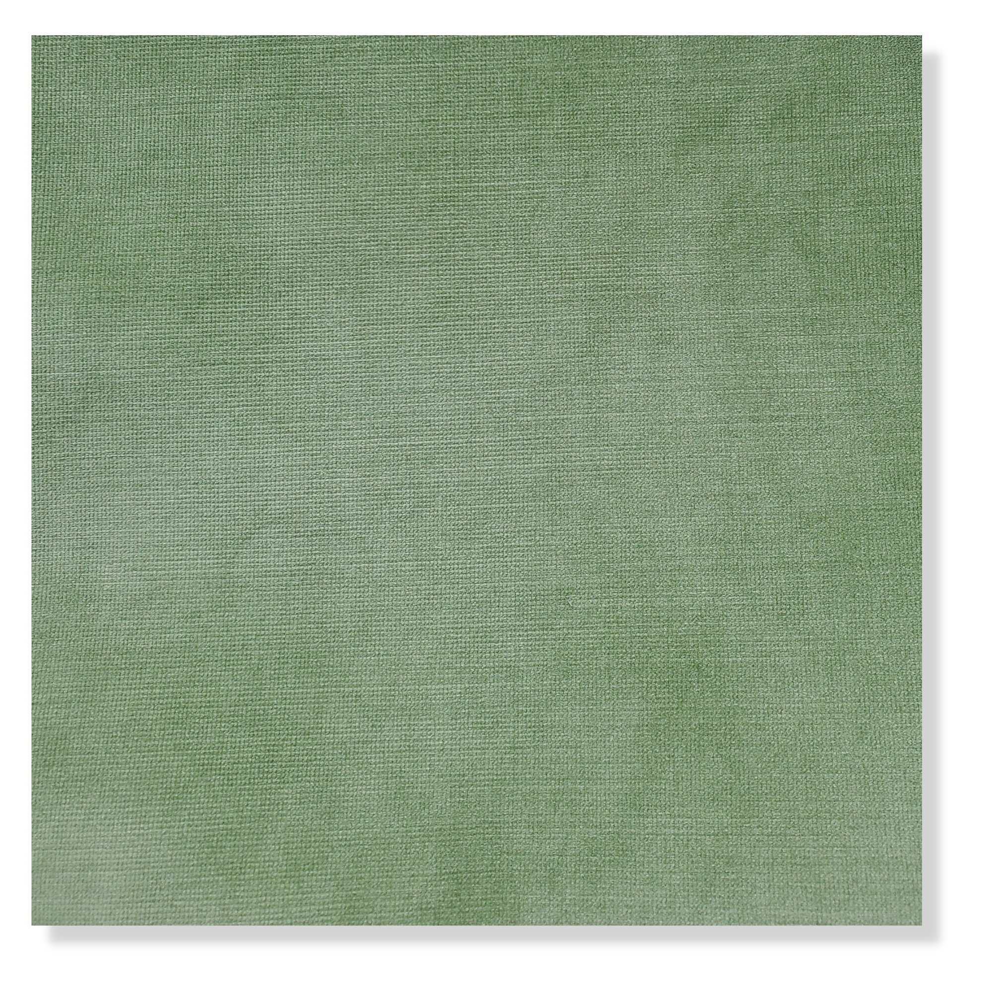 Tally Leaf Velvet - Fabric by the Yard