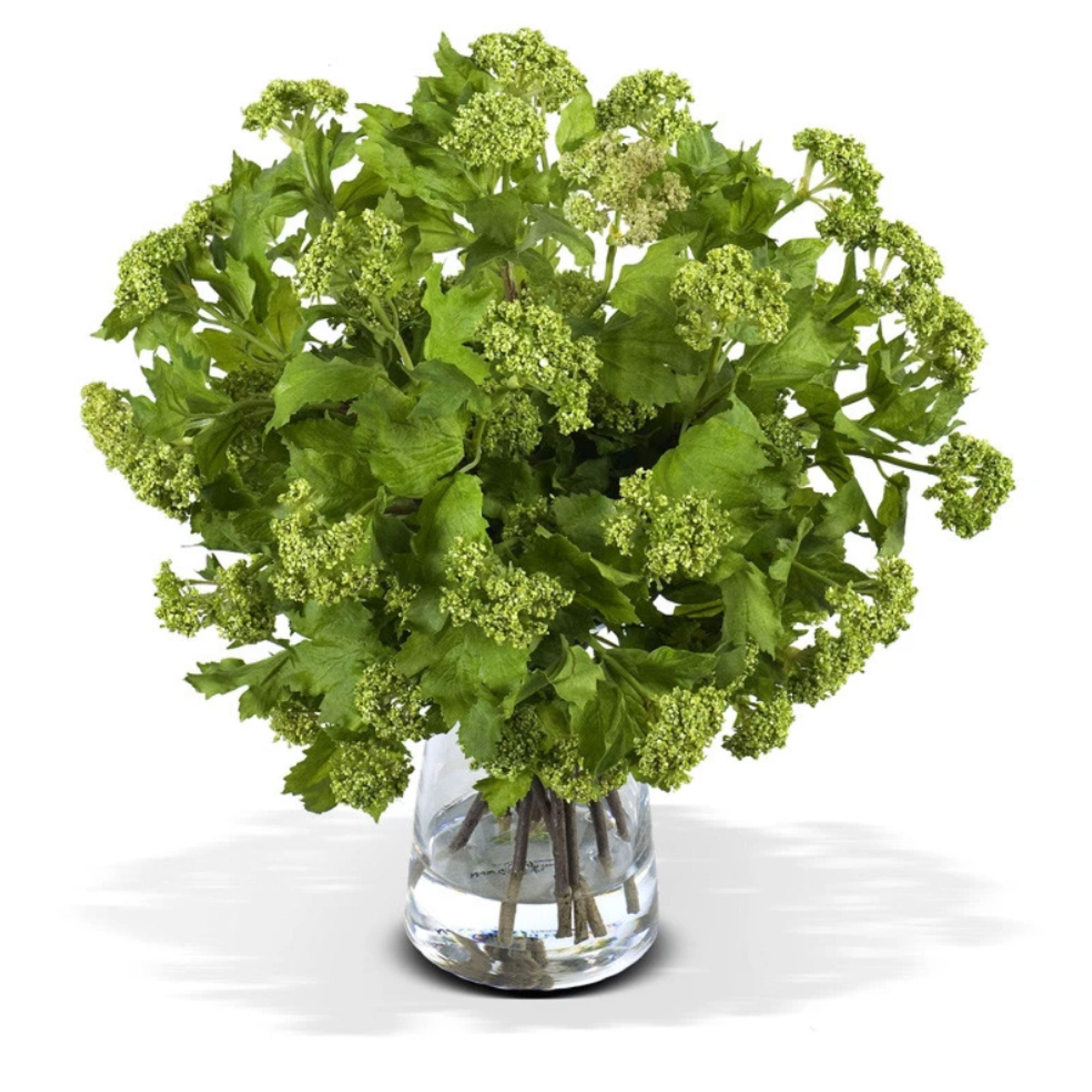 Green Viburnum Bouquet in Glass Vase